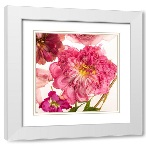 Peony Dream on White White Modern Wood Framed Art Print with Double Matting by Maclean, Leah