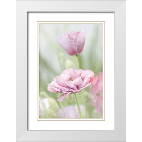 Two Poppies White Modern Wood Framed Art Print with Double Matting by Stalus, Judy