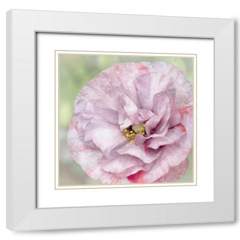 Jezebel White Modern Wood Framed Art Print with Double Matting by Stalus, Judy