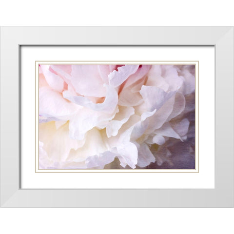 Peony Bliss White Modern Wood Framed Art Print with Double Matting by Stalus, Judy