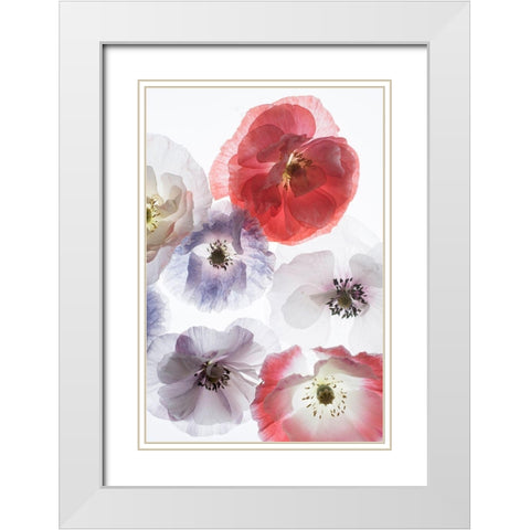 Dreaming Poppies White Modern Wood Framed Art Print with Double Matting by Stalus, Judy
