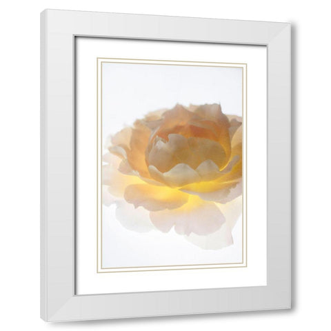 Luminance White Modern Wood Framed Art Print with Double Matting by Stalus, Judy