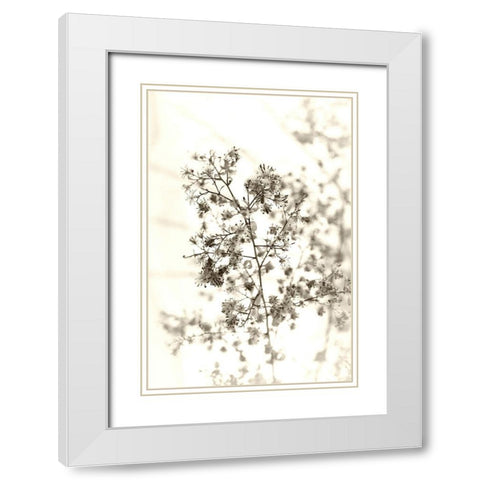 Spent White Modern Wood Framed Art Print with Double Matting by Stalus, Judy