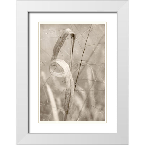 Meadow Grass White Modern Wood Framed Art Print with Double Matting by Stalus, Judy