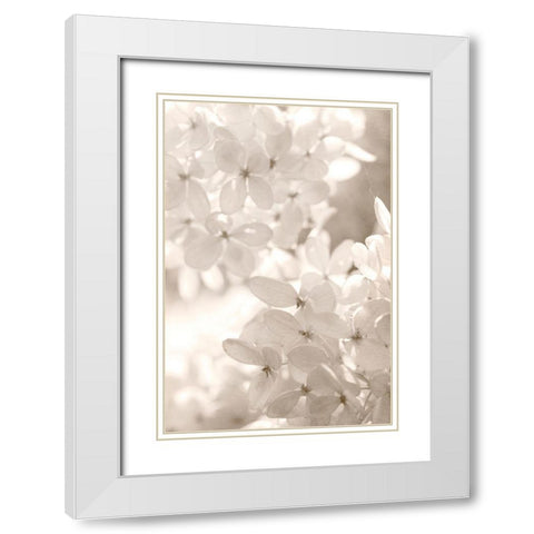 Sunlight White Modern Wood Framed Art Print with Double Matting by Stalus, Judy