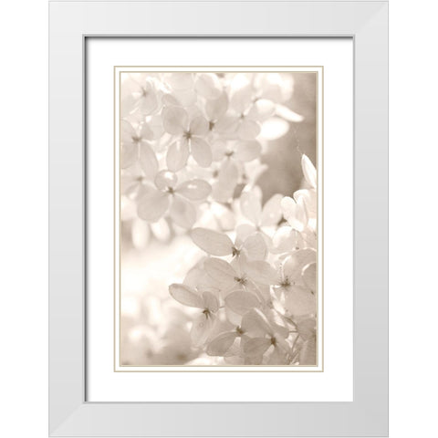 Sunlight White Modern Wood Framed Art Print with Double Matting by Stalus, Judy