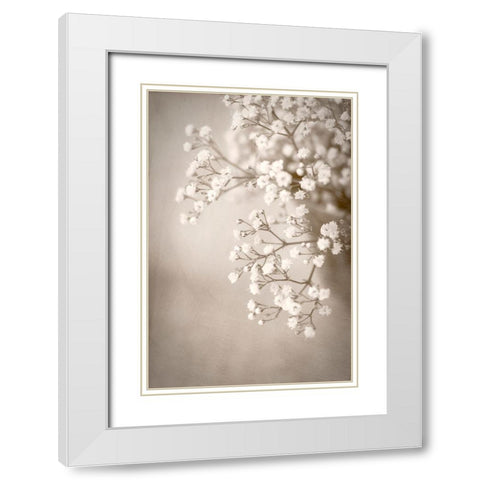 Cascade White Modern Wood Framed Art Print with Double Matting by Stalus, Judy