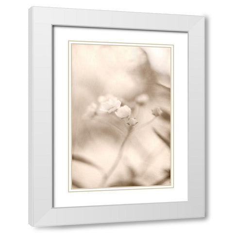 Summer I White Modern Wood Framed Art Print with Double Matting by Stalus, Judy