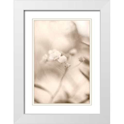 Summer I White Modern Wood Framed Art Print with Double Matting by Stalus, Judy
