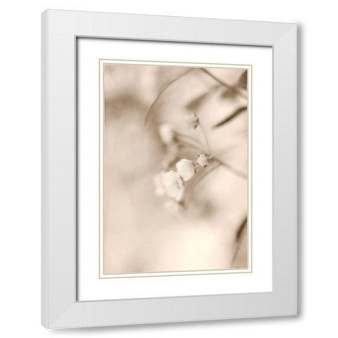 Softly White Modern Wood Framed Art Print with Double Matting by Stalus, Judy