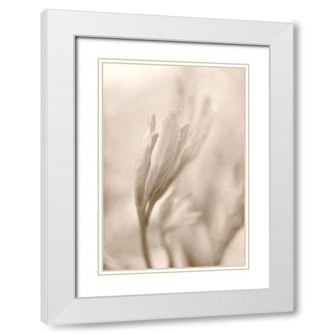 Reaching White Modern Wood Framed Art Print with Double Matting by Stalus, Judy