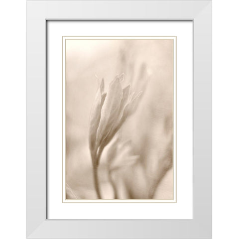 Reaching White Modern Wood Framed Art Print with Double Matting by Stalus, Judy