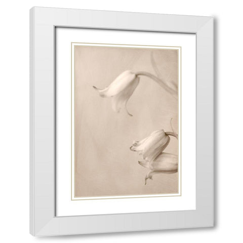 Bells White Modern Wood Framed Art Print with Double Matting by Stalus, Judy