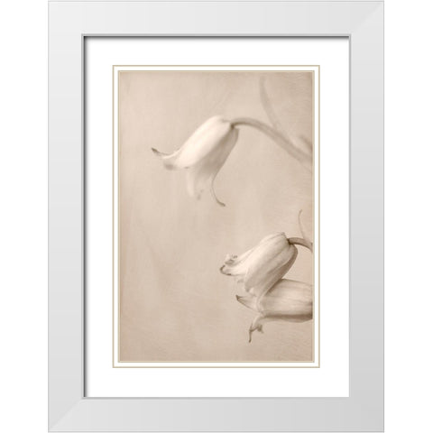 Bells White Modern Wood Framed Art Print with Double Matting by Stalus, Judy