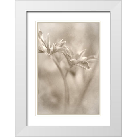 Summer II White Modern Wood Framed Art Print with Double Matting by Stalus, Judy