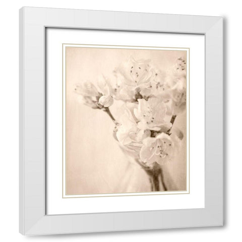 Azalea II White Modern Wood Framed Art Print with Double Matting by Stalus, Judy