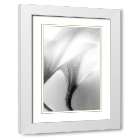 Jeavenly White Modern Wood Framed Art Print with Double Matting by Stalus, Judy