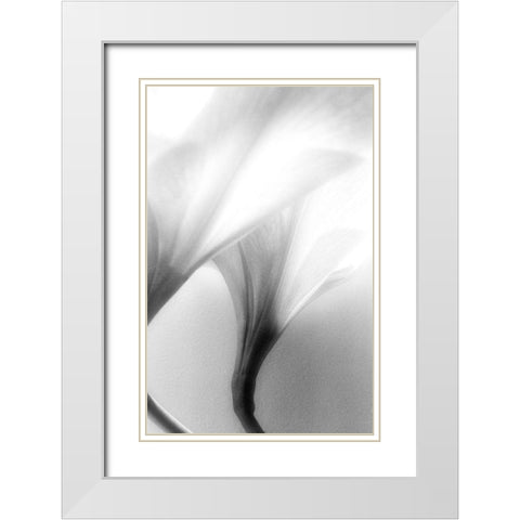Jeavenly White Modern Wood Framed Art Print with Double Matting by Stalus, Judy