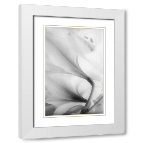 Reach for the Sky White Modern Wood Framed Art Print with Double Matting by Stalus, Judy