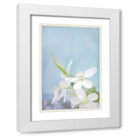Blue Sky White Modern Wood Framed Art Print with Double Matting by Stalus, Judy