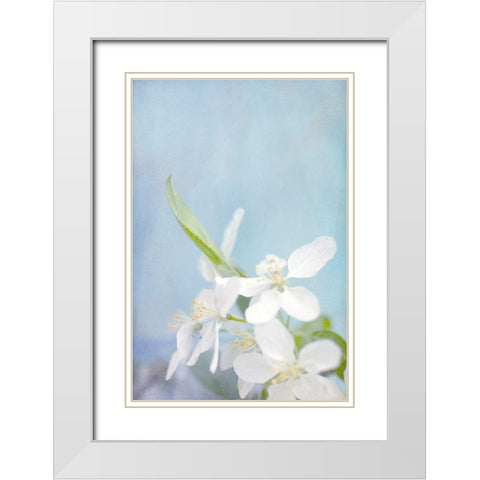 Blue Sky White Modern Wood Framed Art Print with Double Matting by Stalus, Judy