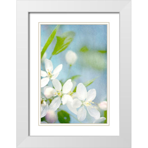 Spring Time White Modern Wood Framed Art Print with Double Matting by Stalus, Judy