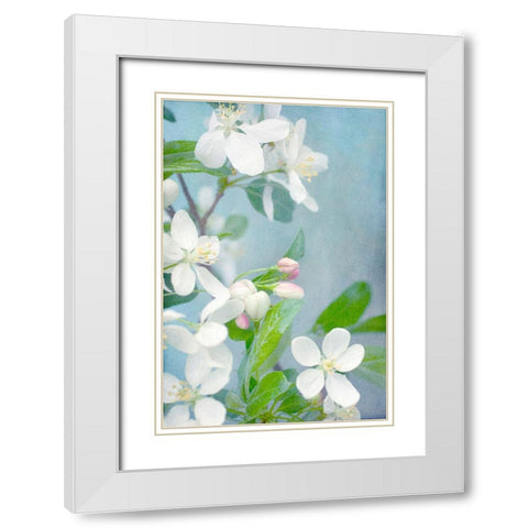 White Blossoms White Modern Wood Framed Art Print with Double Matting by Stalus, Judy