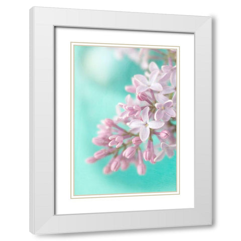 Lilac White Modern Wood Framed Art Print with Double Matting by Stalus, Judy
