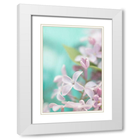 Lilac Flower White Modern Wood Framed Art Print with Double Matting by Stalus, Judy
