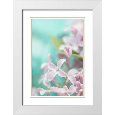 Lilac Flower White Modern Wood Framed Art Print with Double Matting by Stalus, Judy