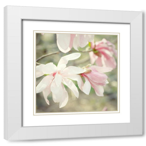 Magnolias White Modern Wood Framed Art Print with Double Matting by Stalus, Judy