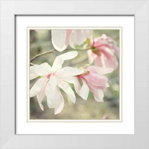 Magnolias White Modern Wood Framed Art Print with Double Matting by Stalus, Judy
