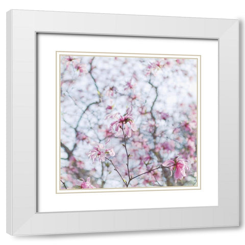 Magnolia Tree White Modern Wood Framed Art Print with Double Matting by Stalus, Judy