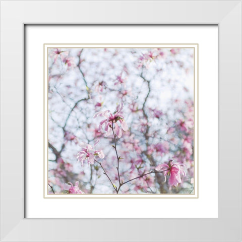Magnolia Tree White Modern Wood Framed Art Print with Double Matting by Stalus, Judy