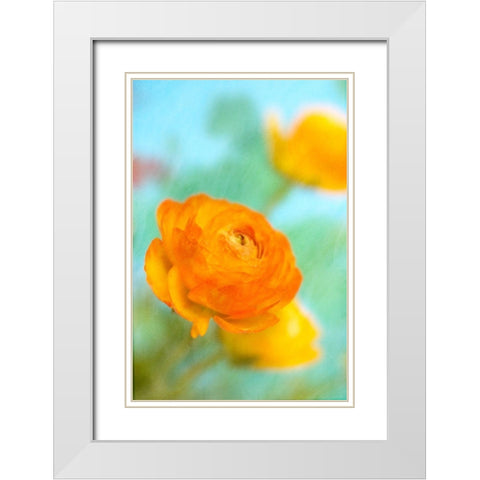 Bright White Modern Wood Framed Art Print with Double Matting by Stalus, Judy