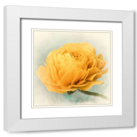Golden White Modern Wood Framed Art Print with Double Matting by Stalus, Judy