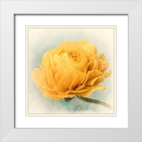 Golden White Modern Wood Framed Art Print with Double Matting by Stalus, Judy