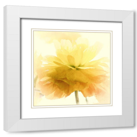 Dancing White Modern Wood Framed Art Print with Double Matting by Stalus, Judy