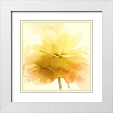 Dancing White Modern Wood Framed Art Print with Double Matting by Stalus, Judy