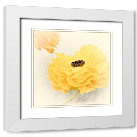 Frills White Modern Wood Framed Art Print with Double Matting by Stalus, Judy