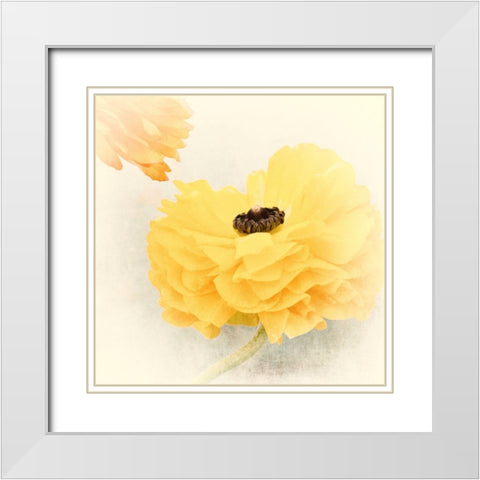 Frills White Modern Wood Framed Art Print with Double Matting by Stalus, Judy