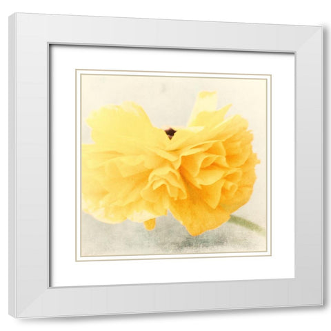 Tutu White Modern Wood Framed Art Print with Double Matting by Stalus, Judy