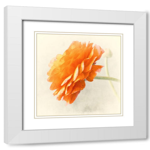 Orange White Modern Wood Framed Art Print with Double Matting by Stalus, Judy