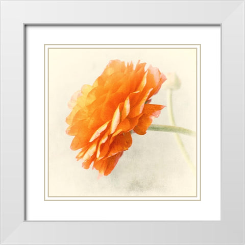 Orange White Modern Wood Framed Art Print with Double Matting by Stalus, Judy