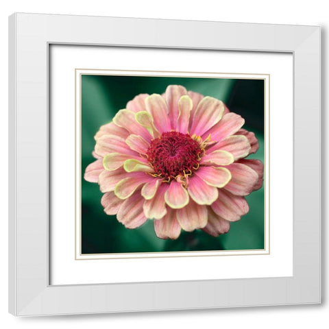 Pretty Lass White Modern Wood Framed Art Print with Double Matting by Stalus, Judy