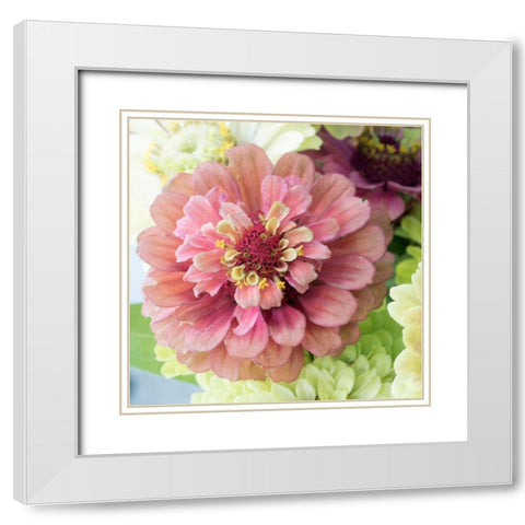 Pink Lasy White Modern Wood Framed Art Print with Double Matting by Stalus, Judy