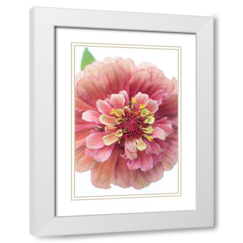 Cheer White Modern Wood Framed Art Print with Double Matting by Stalus, Judy