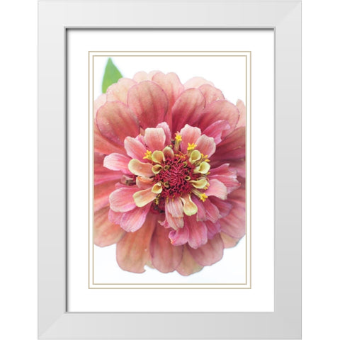 Cheer White Modern Wood Framed Art Print with Double Matting by Stalus, Judy