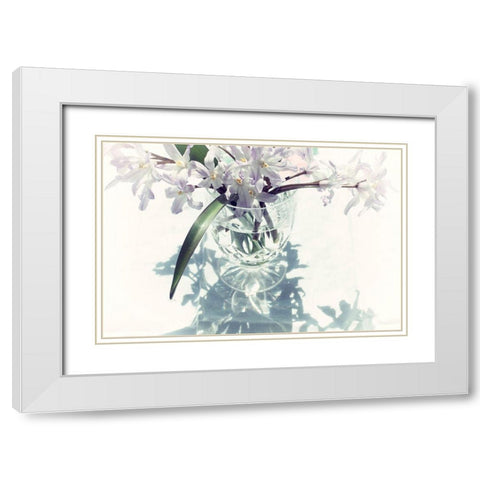 Shadow White Modern Wood Framed Art Print with Double Matting by Stalus, Judy