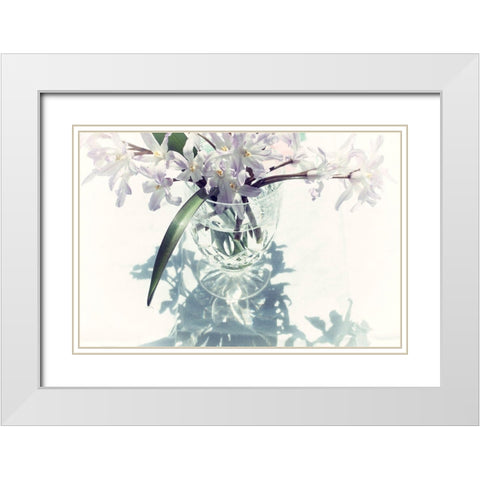 Shadow White Modern Wood Framed Art Print with Double Matting by Stalus, Judy